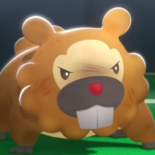 Bidoof’s Big Stand